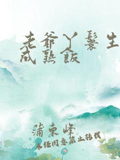 老爷丫鬟生米煮成熟饭