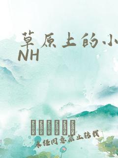 草原上的小公主NH