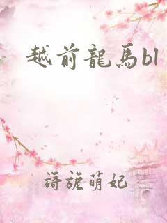 越前龙马bl