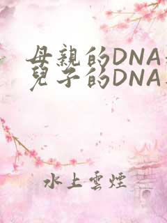母亲的DNA和儿子的DNA是一样的吗