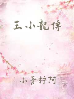 王小龙传