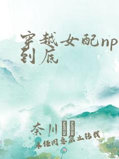 穿越女配np湿到底