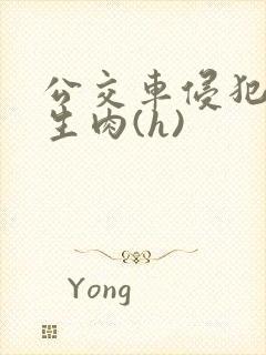 公交车侵犯小男生肉(h)