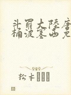 斗罗大陆唐三爆桶波塞西免费P站