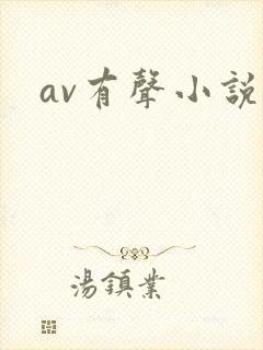 av有声小说