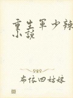 重生军少辣娇妻小说