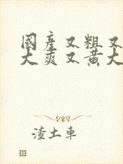 国产又粗又猛又大爽又黄大爷