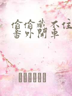 偷偷藏不住婚后番外开车