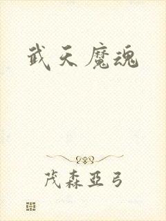 武天魔魂