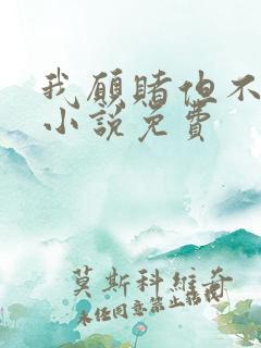 我愿赌但不服输小说免费