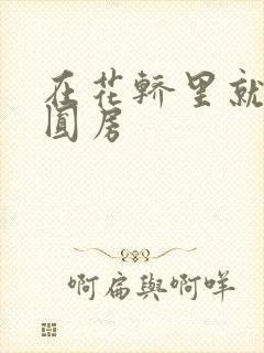 在花轿里就开始圆房