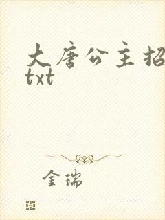 大唐公主招亲记txt