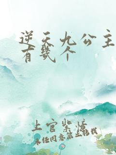 逆天九公主男主有几个