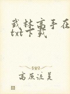 武林高手在校园txt下载