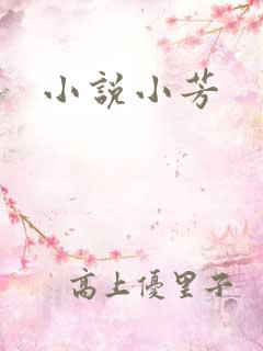 小说小芳