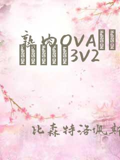 熟肉OVAちゃんはしたい3V2