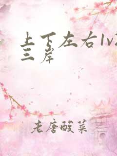 上下左右1v2三岸