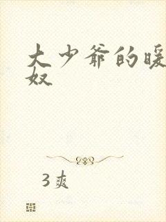 大少爷的暖床小奴