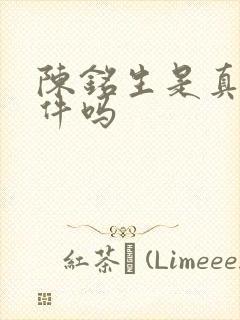 陈铭生是真实事件吗