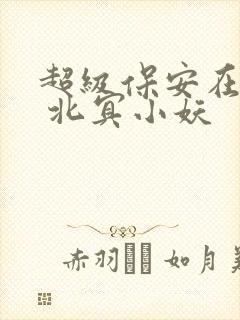 超级保安在都市 北冥小妖