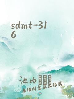 sdmt-316