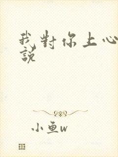 我对你上心了小说