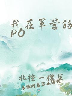 我在军营的日子PO