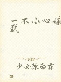 一不小心嫁给总裁