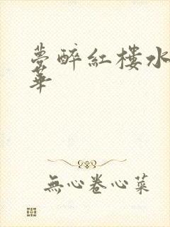 梦醉红楼水润珠华