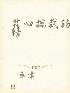 花心总裁的小妖精