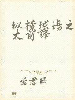 纵横球场之暴力大前锋