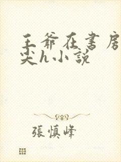 王爷在书房含乳尖h小说