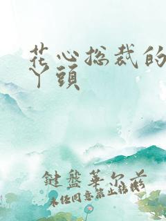 花心总裁的小小丫头