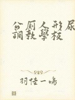 公厕人形尿便器调教学校