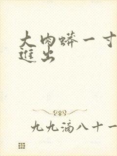 大肉蟒一寸一寸进出