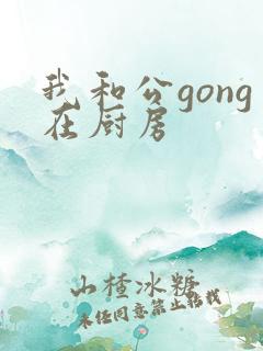 我和公gong在厨房
