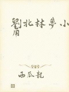 刘北林梦小说主角