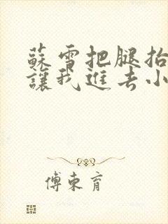 苏雪把腿抬起来让我进去小说