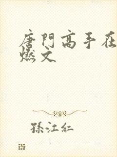 唐门高手在异世燃文