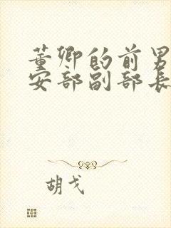 董卿的前男友公安部副部长