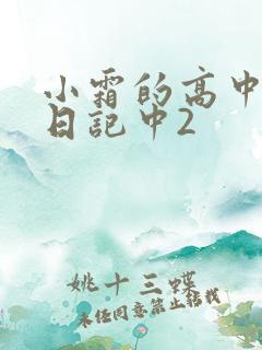小霜的高中成长日记中2