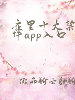 夜里十大禁用软件app入口