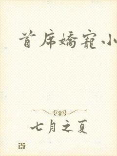 首席娇宠小情人