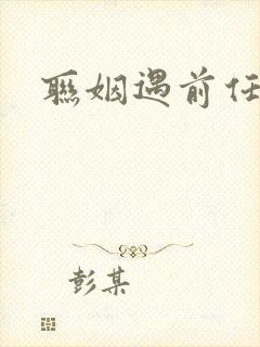 联姻遇前任小说