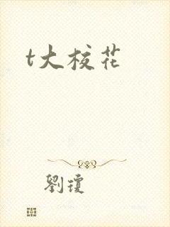 t大校花
