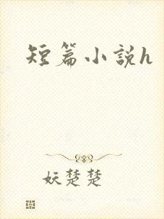 短篇小说h