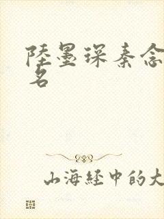 陆墨琛秦念小说名