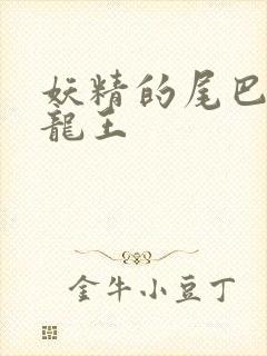 妖精的尾巴之幻龙王