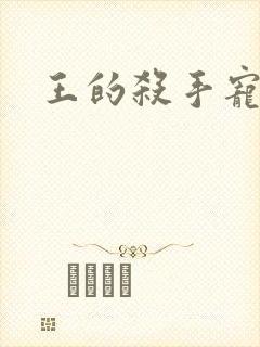 王的杀手宠妃