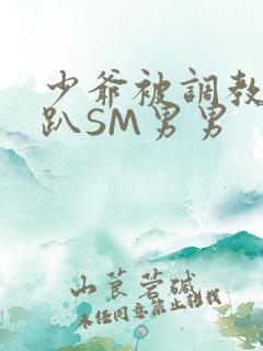 少爷被调教室跪趴SM男男